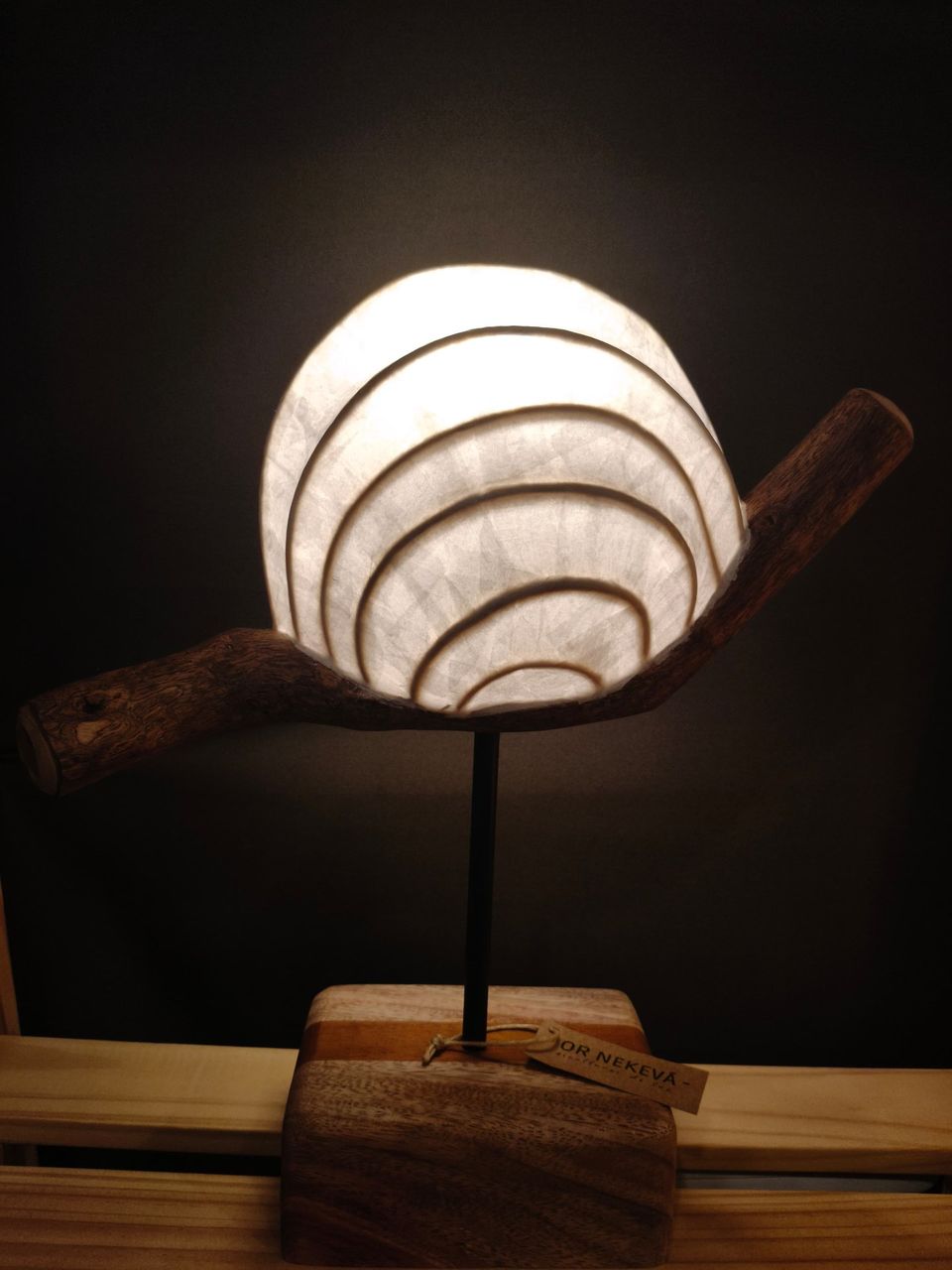 Caracol: espirales concéntricas de papel encendidas sobre una rama natural
