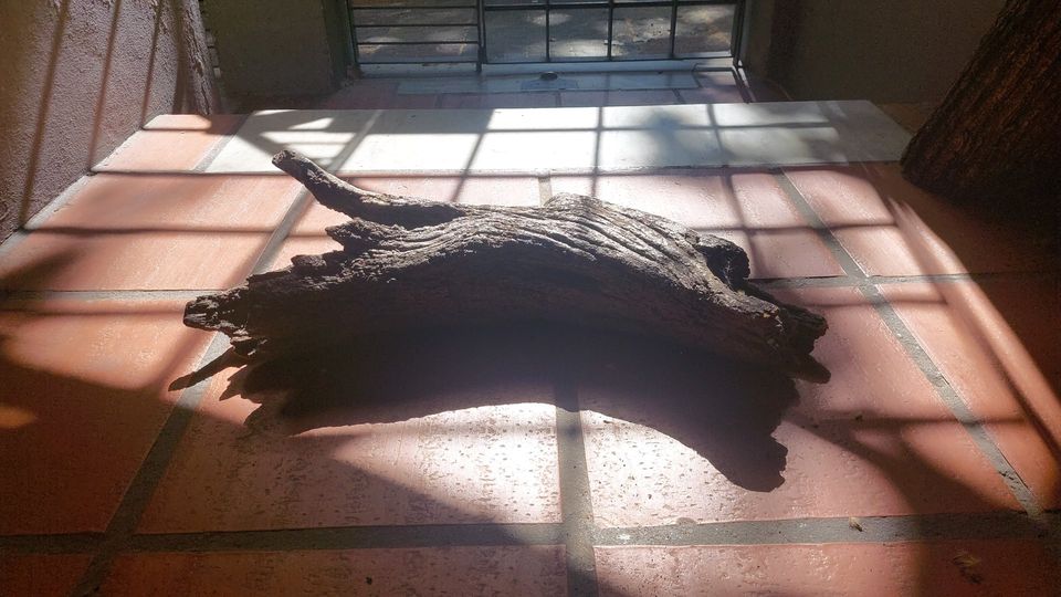 Mesa del taller con maderas, cañas y herramientas